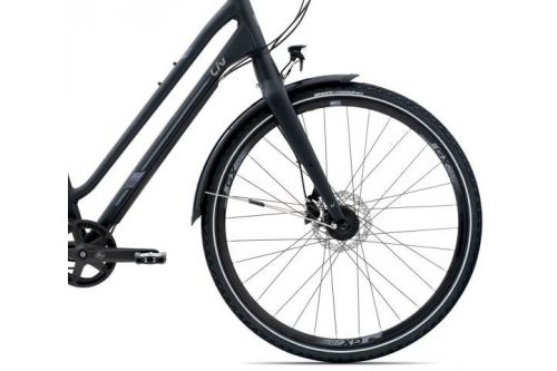 Rower trekkingowy Liv Allure CS 2 GB 2020